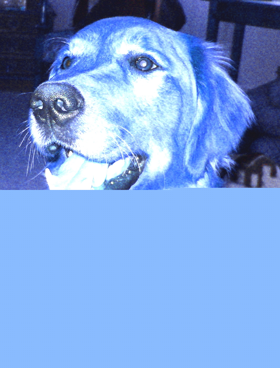 hpim0371.jpg